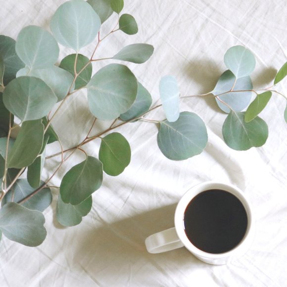 Meet your Posher, Nunane - Picture 1 of 1